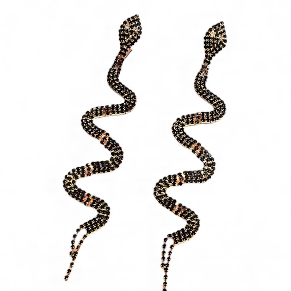 Closet Clear Out Sale Final Price! Black Snake Duster Earrings